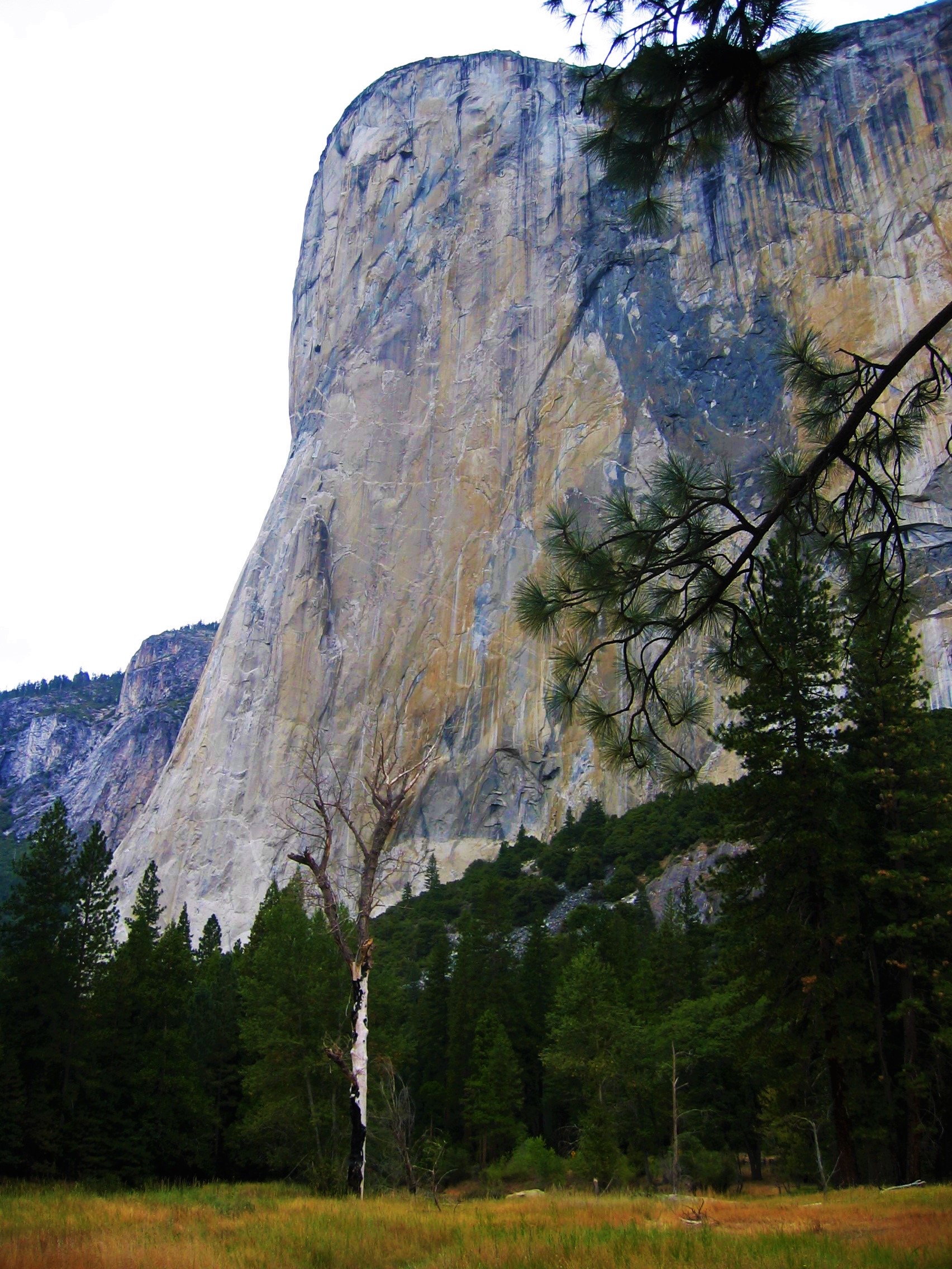 Adventure Pursuit | Yosemite