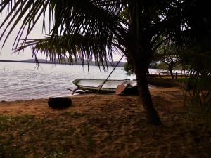 Adventure Pursuit | Trilha para Costa da Lagoa