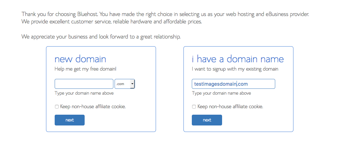 Pick your domain name